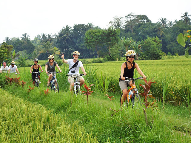 Fun & Healthy Cycling in Bali - Bali Tour