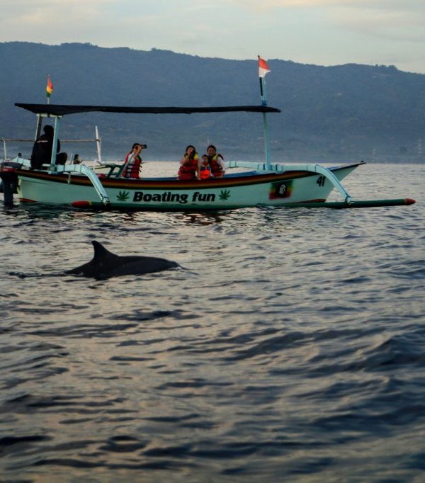 Bali Tour Lovina Dolphin