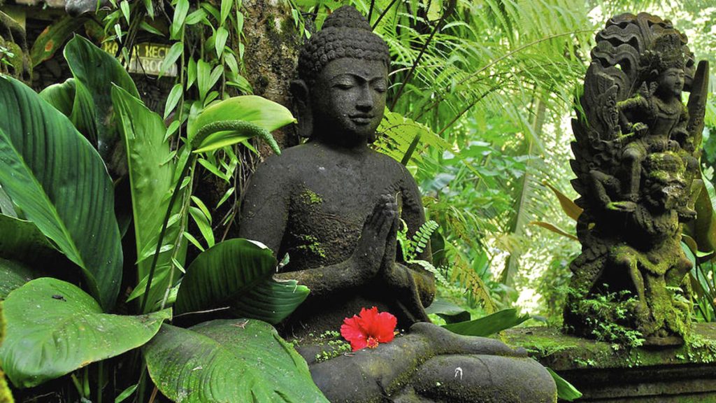 Ubud Bali Tour Indonesia