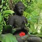 Ubud Bali Tour Indonesia