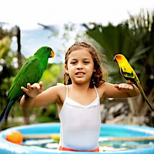 Bali Zoo Family Tour