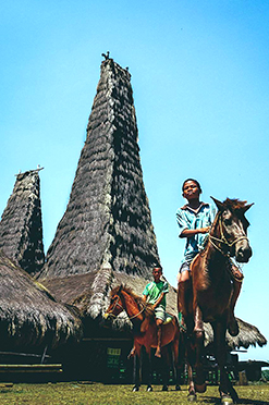Sumba Tour by Bali Tour